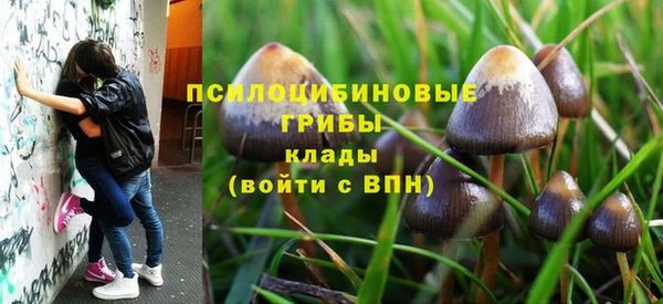 кокс Алексеевка