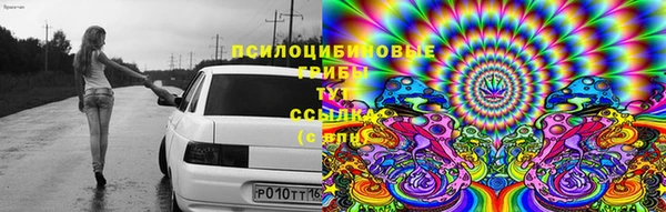спиды Алексин