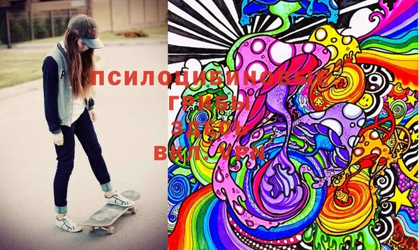 спиды Алексин