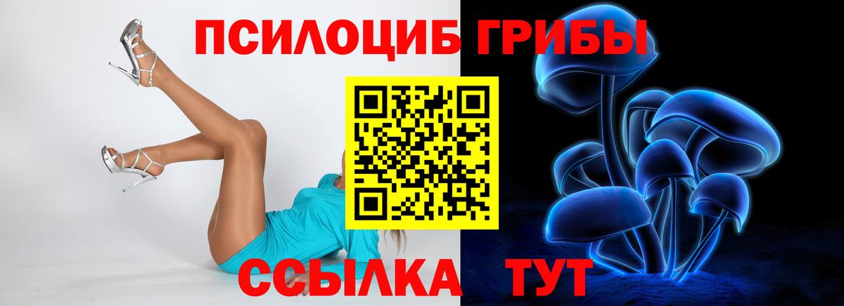где купить   Галлюциногенные грибы MAGIC MUSHROOMS  Вход с VPN  Анжеро-Судженск 